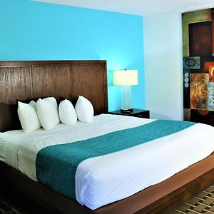 Quarto adaptado para pessoas com mobilidade reduzida com cama king